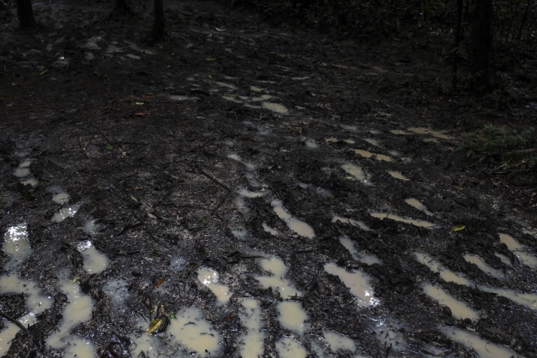 AMAZONAS, COLOMBIA - APRIL 04: Muddy footprints left by people in the jungle in Amazonas, Colombia, on April 04, 2023. Deforestation is taking a significant toll on the bird population in the Amazon rainforest, severely affecting its biodiversity. (Photo by Juancho Torres/Anadolu Agency via Getty Images)