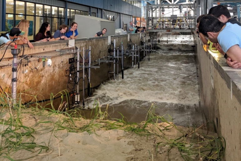 OSU College of Engineering researchers at the O.H. Hinsdale Wave Research Laboratory found that dunes with newly planted vegetation scarped faster than bare dunes. Photo provided by Meagan Wengrove, CoE. CREDIT: Oregon State University WEPSITE