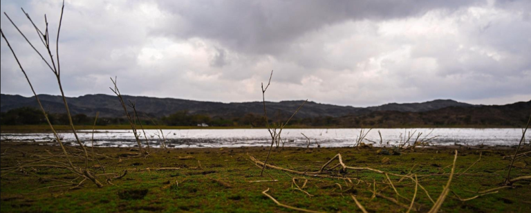 أمطار على منطقة الباحة وضباب كثيف بقطاع السراة ومتنزهاتها