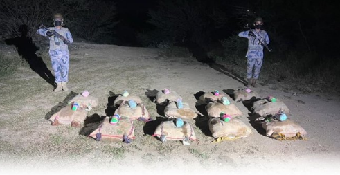 إحباط تهريب 280 كيلوجرامًا من القات المخدر بمنطقة جازان