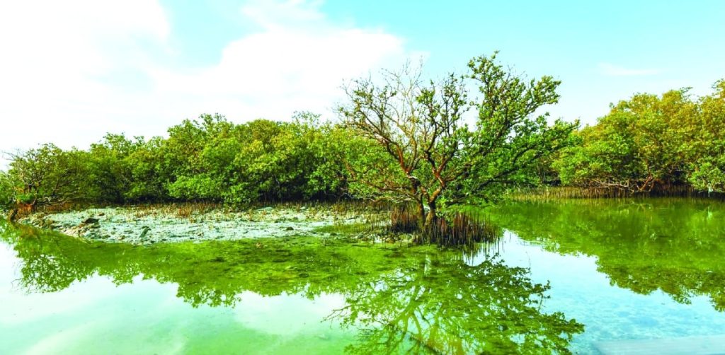 البيئة تحتفل بيوم الأراضي الرطبة