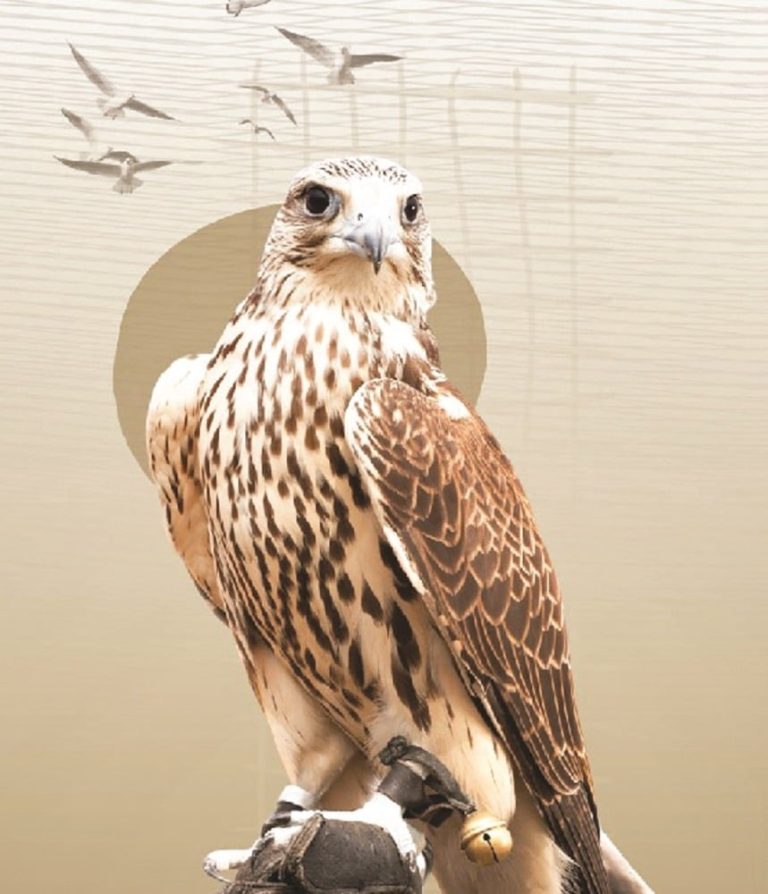 انتهاء موسم الصيد 15 الجاري