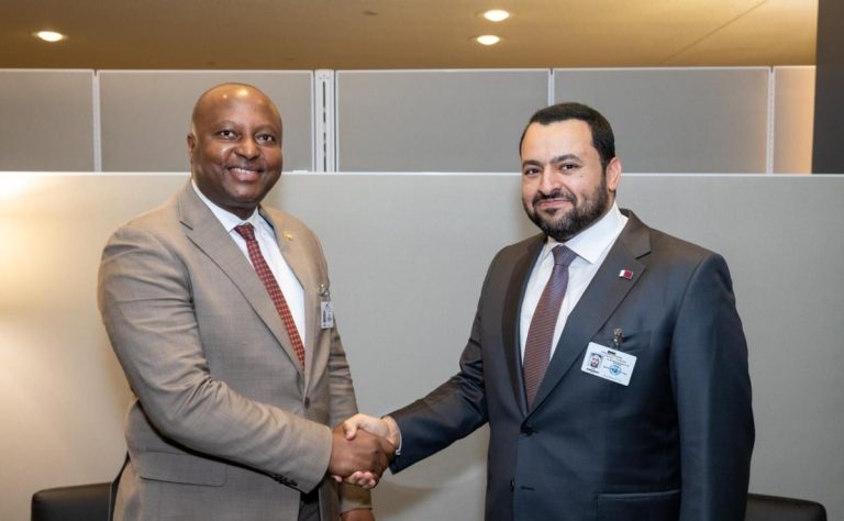  وزير الدولة بوزارة الخارجية يجتمع مع عدد من المسؤولين في نيويورك