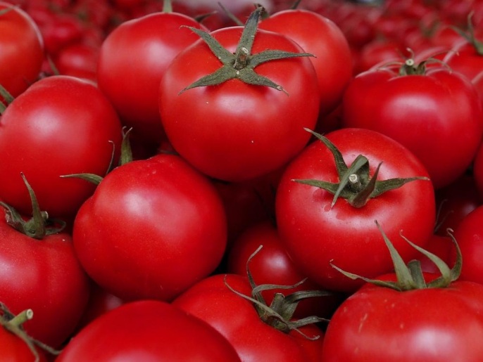 A Turkish woman buys tomatoes in a local market in Istanbul, Turkey, 04 December 2015. The Russian Government has banned imports of fruit and vegetables from Turkey, following the downing of a Russian Sukhoi SU-24 bomber jet 24 November by a Turkish F-16 fighter on the border with Syria. The list of banned produce will come into force 01 January 2016.