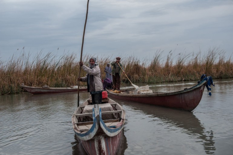 Al-Chibayish, Iraq. October 31st 2018 "nJust after dawn Marsh Arab fishermen return with their catch from the Hamar Marsh, low water levels and increased salinity have reduced fish size and stock considerably in the Southern Marshes of Iraq. Intended for editorial use