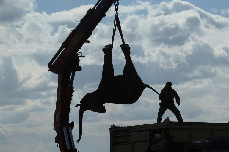 FILE - In this Tuesday July 12, 2016 file photo, an elephant is lifted by a crane in an upside down position in Lilongwe, Malawi, in the first step of an assisted migration of 500 of the animals. The relocation of elephants to Malawi's largest wildlife reserve was meant to be a sign of hope and renewal in the southern African nation but then resident stated falling ill. The cause of the headaches, weakness and pain were trypanosomes, tiny parasites spread by the bite of the tsetse fly, a companion of the elephants. (AP Photo/Tsvangirayi Mukwazhi, File)