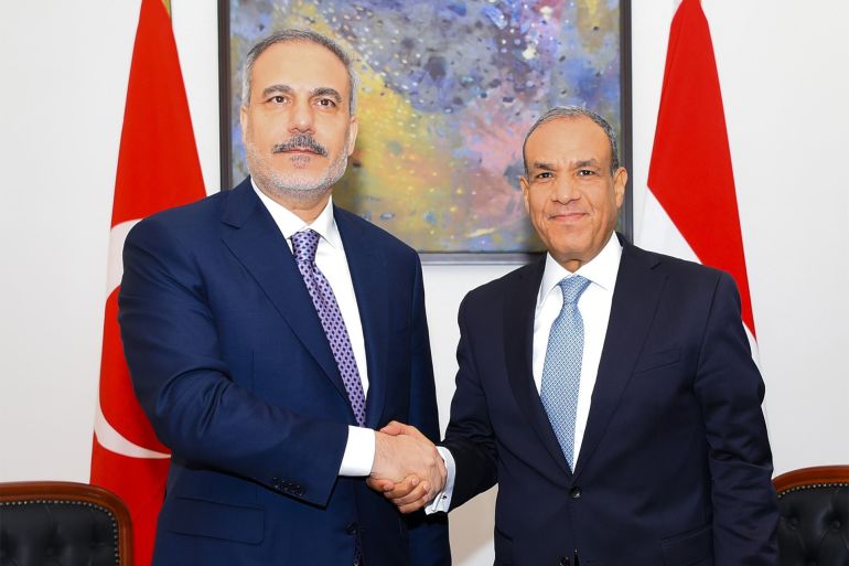 مصافحة وزير الخارجية المصري ونظيره التركي
