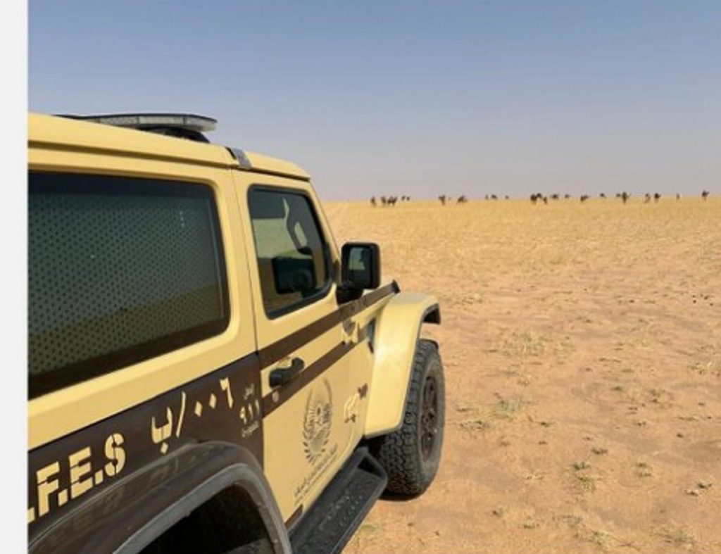 ضبط مواطن لارتكابه مخالفة رعي في محمية الملك عبدالعزيز الملكية