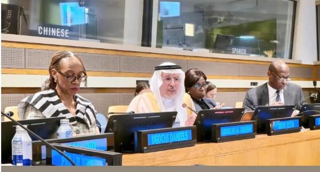 الدكتور الربيعة: المملكة دعمت اللاجئين بأكثر من 1.2 مليار دولار من خلال 457 مشروعًا إغاثيًا