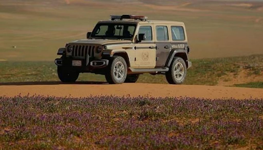 ضبط مواطن لارتكابه مخالفة الشروع في الصيد دون ترخيص في محمية الإمام عبدالعزيز الملكية