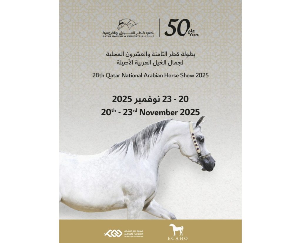 بطولة قطر المحلية لجمال الخيل على خط الانطلاق