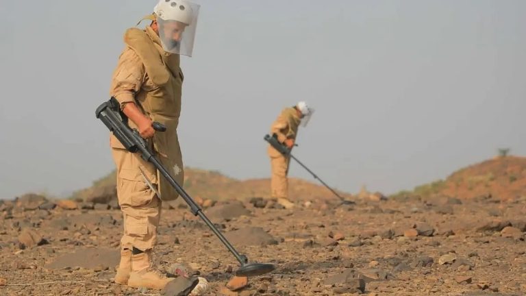 “مسام” ينزع 805 ألغام من الأراضي اليمنية خلال أسبوع