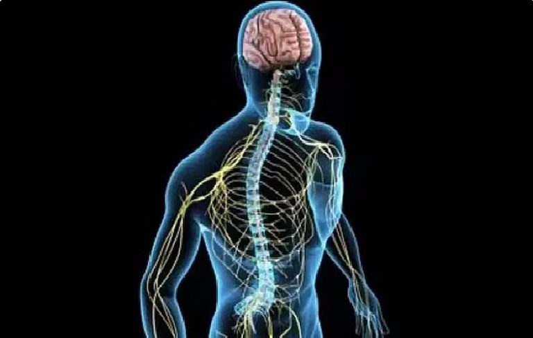 مستشفى الملك عبدالعزيز يوضح أعراض التصلب اللويحي وطرق التعامل معه