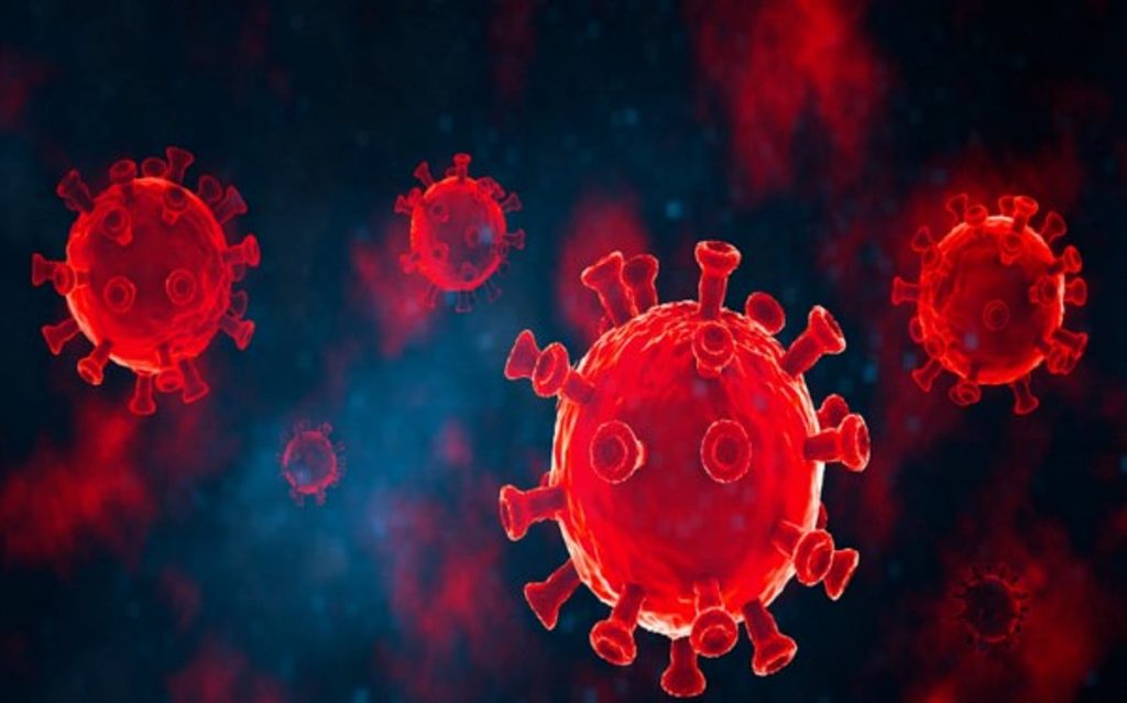 اكتشاف فيروس كورونا جديد في البرازيل قد يهدد بجائحة محتملة