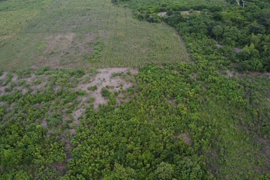 الاتحاد الأوروبي يدرس خفض هدفه المناخي لعام 2040