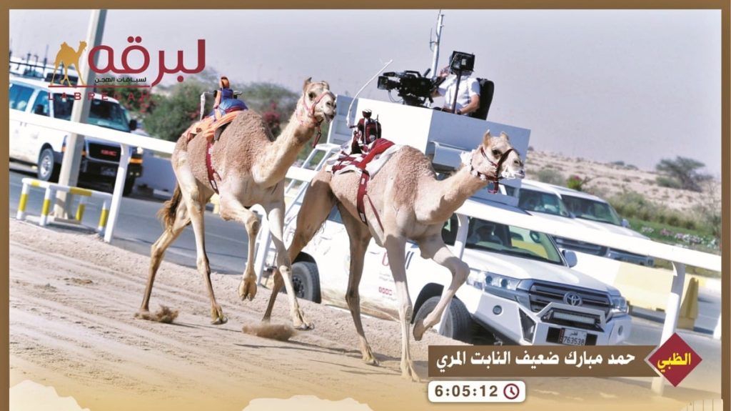 تألق "الظبي" و"الهيلعي" و"شاهين" بأشواط الحقايق