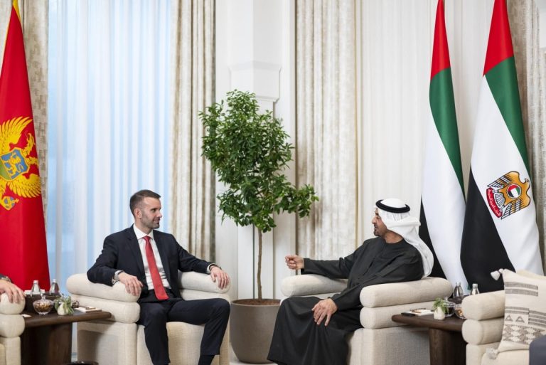 الرئيس الإماراتي ورئيس وزراء مونتينغرو يبحثان العلاقات الثنائية