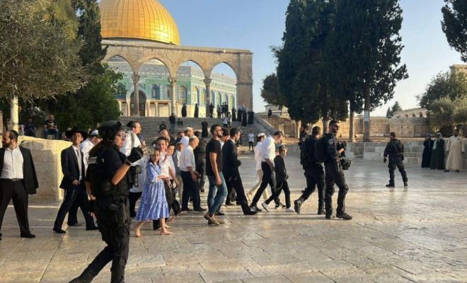  920 مستوطناً يقتحمون المسجد الأقصى بحماية شرطة الاحتلال