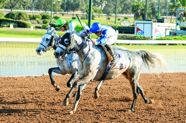 على مضمار الدار البيضاء بالمملكة المغربية.. الجواد "مشرف" يفوز بجائزة الملك محمد السادس