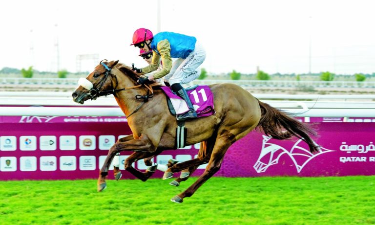  سباق الداربي التجريبي بمضمار العقدة على خط الانطلاق