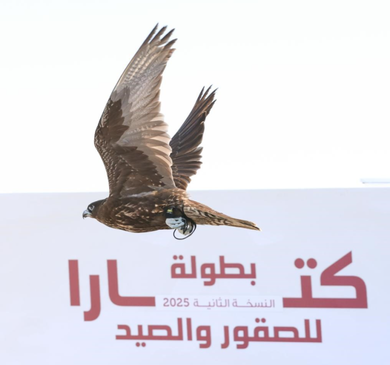  مسابقتا الطلع والدعو تعطيان شارة انطلاق بطولة كتارا للصقور والصيد 2025 في نسختها الثانية
