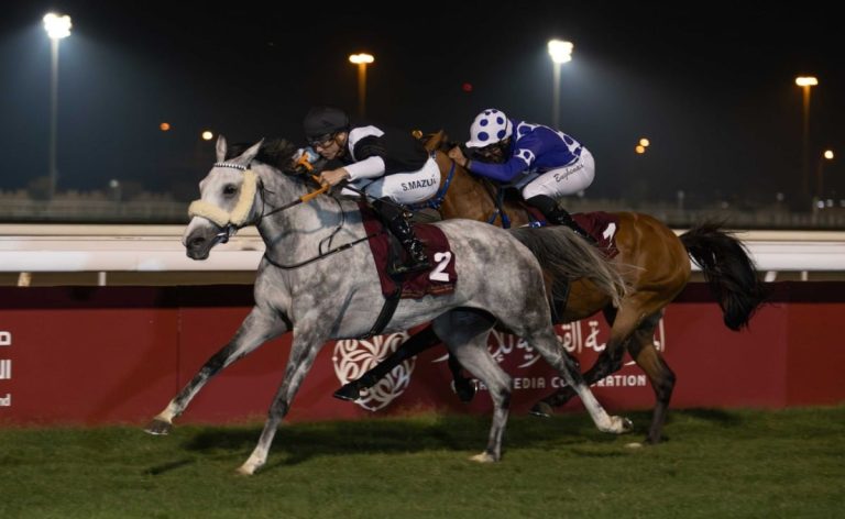  الفرس “ميدان” تفوز بكأس لخريب في أولى مشاركاتها الموسم الحالي على مضمار العقدة