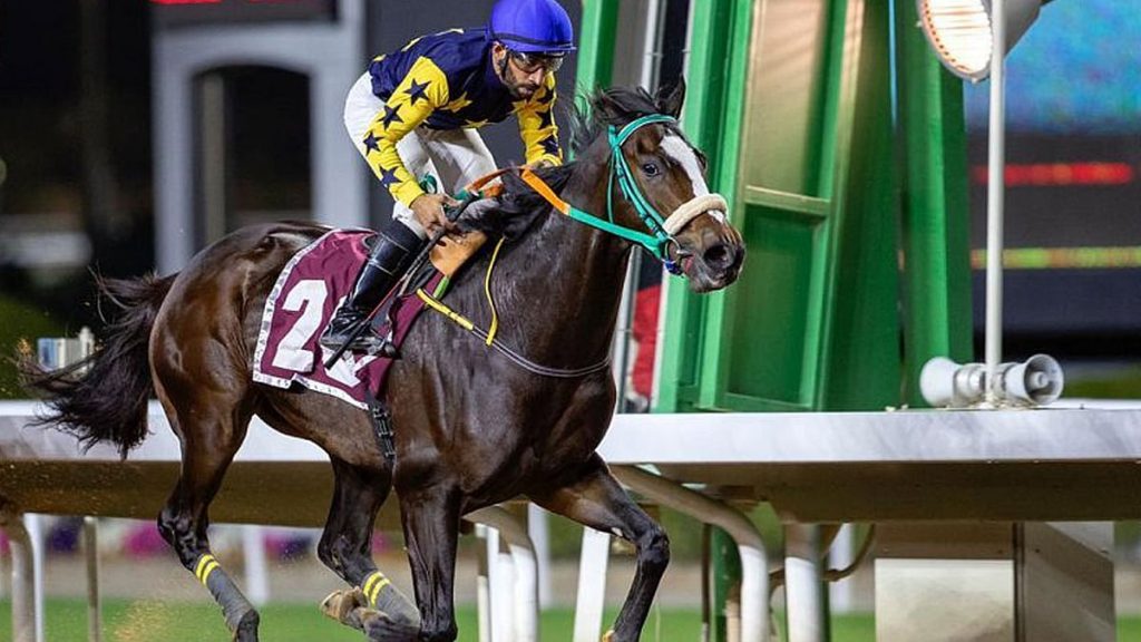 ميدان سباقات الخيل بنجران يُنظّم اليوم حفل سباقه الثامن للموسم الحالي