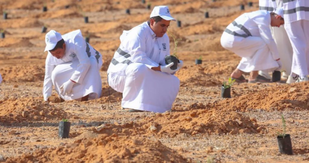 هيئة تطوير محمية الملك سلمان الملكية تنظم مبادرة لزراعة 3000 شتلة