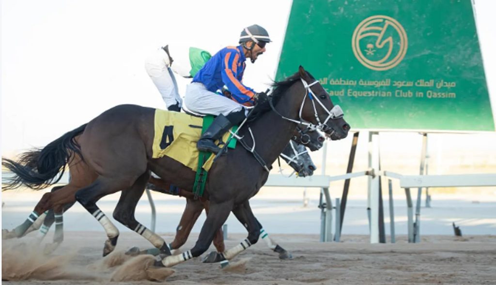 ميدان الملك سعود للفروسية بمنطقة القصيم يقيم حفل سباقه الأول لموسم 1447هـ