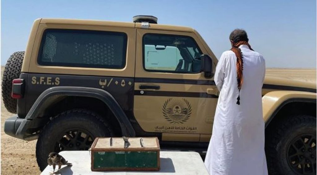بحوزته صقر و3 كائنات فطرية.. القبض على مخالف لارتكابه الصيد دون ترخيص في ينبع