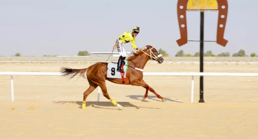 “فروسية الأحساء” تقيم حفل سباقها الثاني بـ7 أشواط مميزة