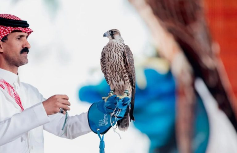 بيع شاهين فرخ في الليلة الـ23 لمزاد نادي الصقور السعودي 2025