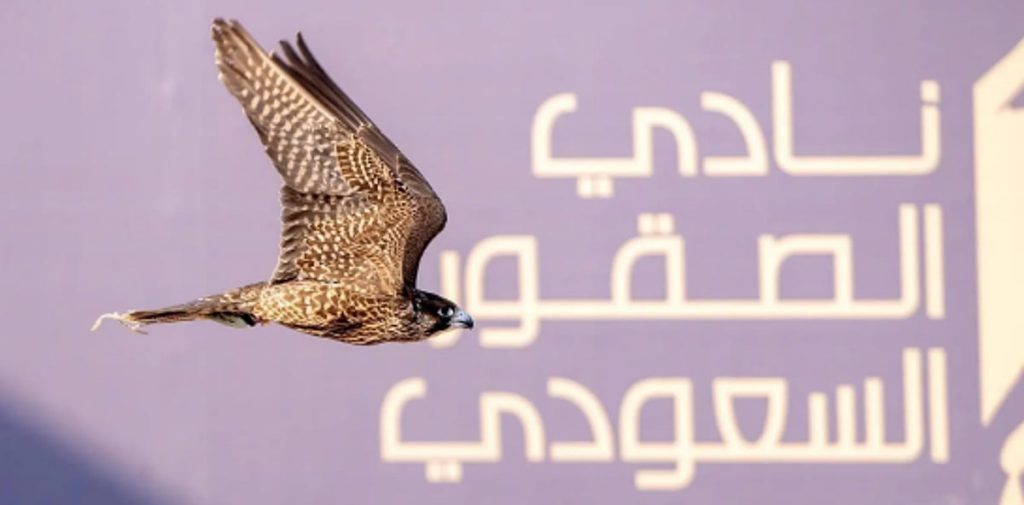 480 فائزًا يتنافسون على جوائز تتجاوز 10 ملايين ريال في كأس نادي الصقور السعودي 2025