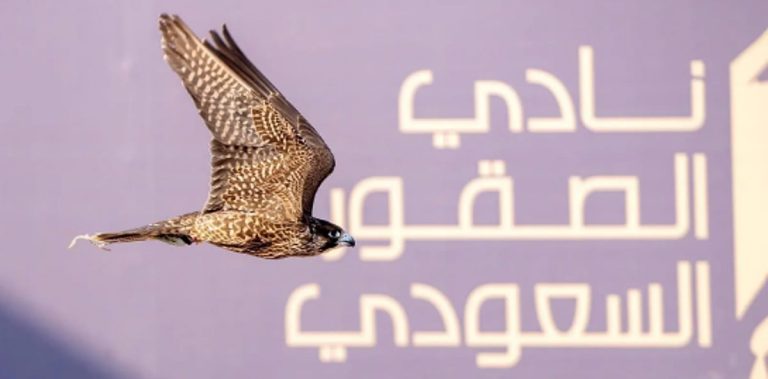 480 فائزًا يتنافسون على جوائز تتجاوز 10 ملايين ريال في كأس نادي الصقور السعودي 2025