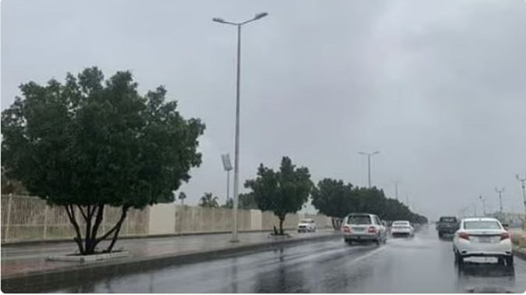 طقس المملكة الأربعاء.. رياح نشطة وفرصة لتكوّن سحب رعدية على عدة مناطق