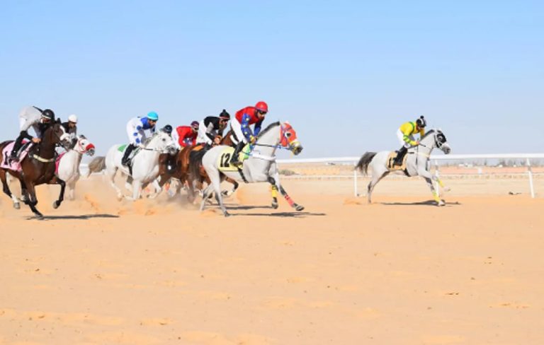 فروسية الأحساء تقيم حفل سباقها الخامس
