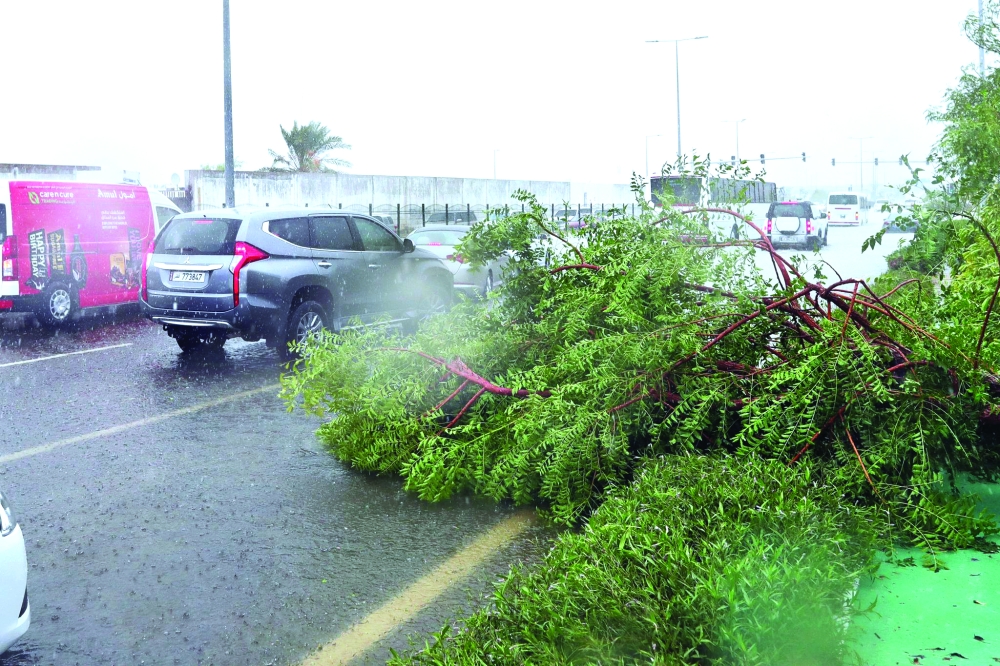  الأرصاد الجوية تحذر من أمطار رعدية ورياح قوية على الساحل وفي عرض البحر