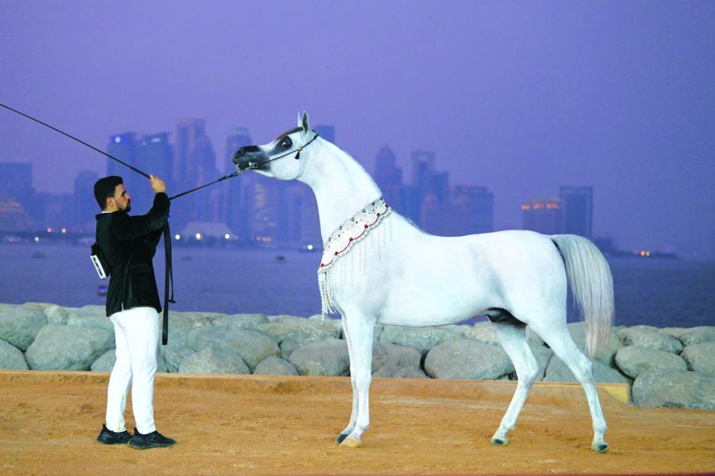 اختتام منافسات بطولة العالم للخيل العربية "أبطال الجياد 2025"