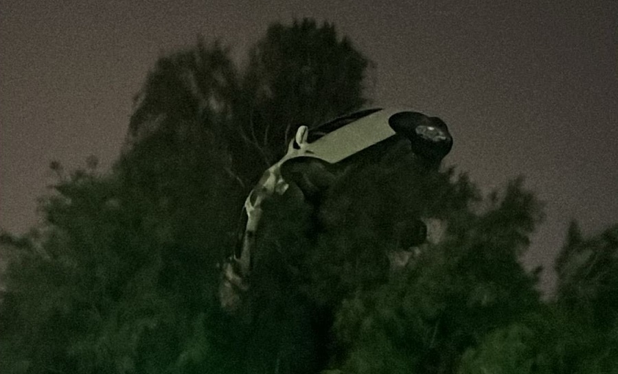  سيارة فوق الشجرة.. مشهد تمثيلي يتحول لأغرب حادث مروري في الكويت (فيديو)