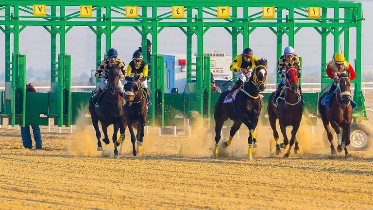 ميدان سباقات الخيل بنجران يُنظّم اليوم حفل سباقه الـ11 للموسم الحالي