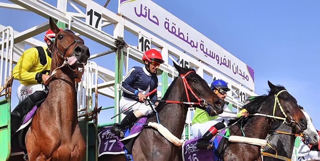 فعاليات ميدان فروسية حائل تُثري تجربة الزوار في التراث والترفيه