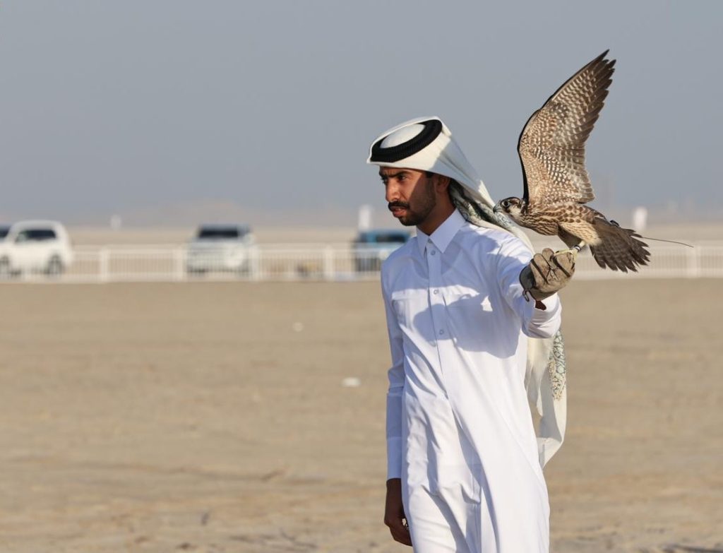  تواصل منافسات مهرجان قطر الدولي للصقور والصيد السابع عشر “مرمي 2026”