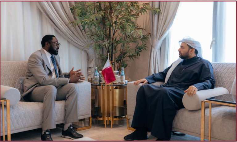 وزير الدولة بوزارة الخارجية يجتمع مع الممثل الخاص للاتحاد الأفريقي لمنطقة مالي والساحل