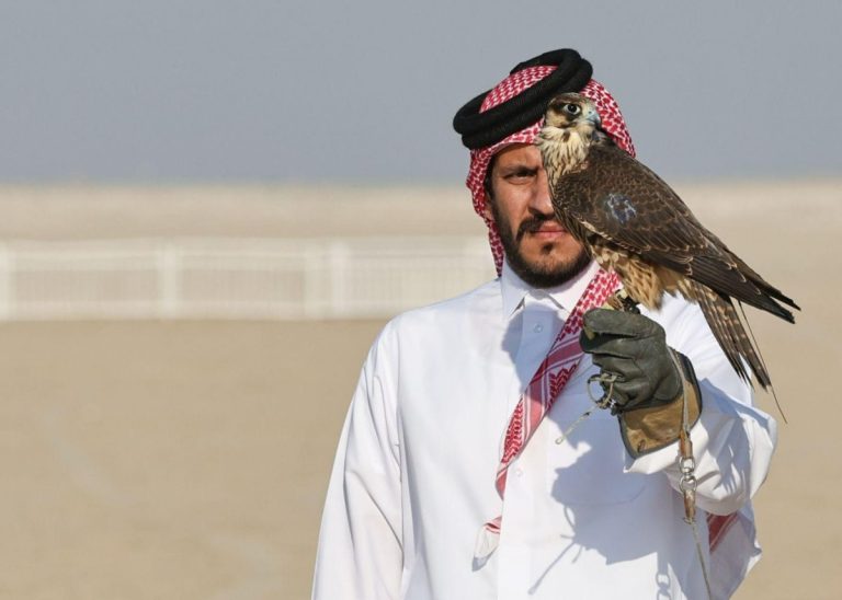  تسليم الصقور المشاركة في بطولة” المزاين” بمهرجان مرمي 2026 غدا