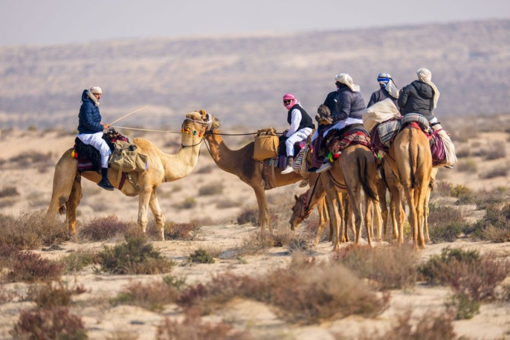  فريق “دخان” يتصدر في أول أيام منافسات المجموعة الثانية من بطولة القلايل 2026