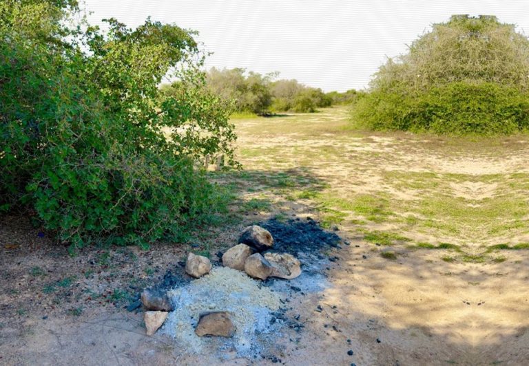  142 مخالفة إشغال النار على الأرض داخل المحميات الطبيعية خلال يناير فقط