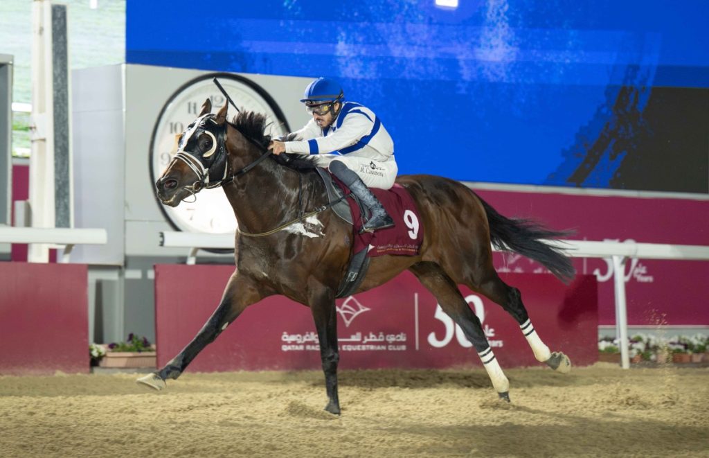 الجواد "ريترن تو سندرز" يفوز بكأس الجميلية للخيل المهجنة الأصيلة