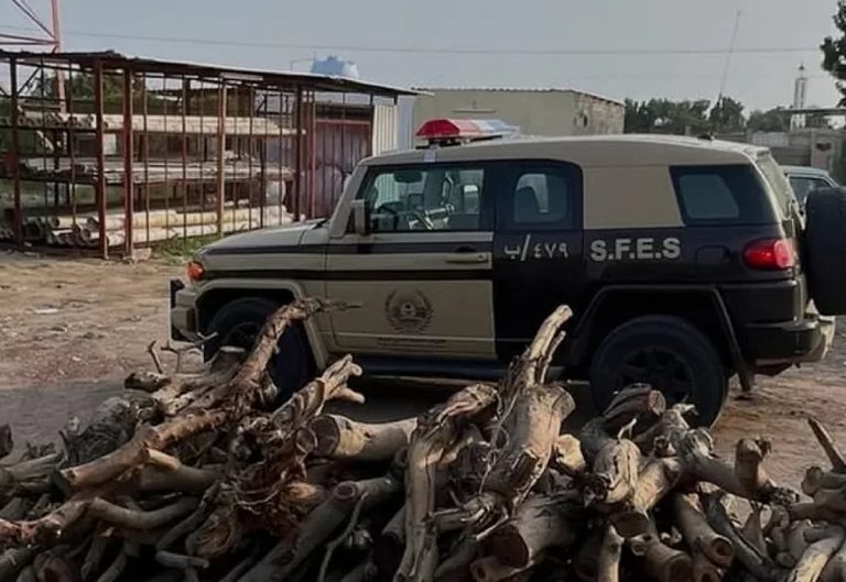 “الأمن البيئي” يضبط مخالفًا لنظام البيئة لاستغلاله الرواسب في منطقة المدينة المنورة