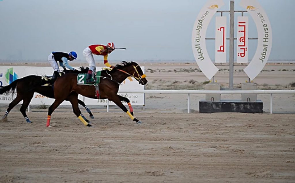 ميدان فروسية الجبيل يختتم موسم سباقات الخيل لعام 1447هـ