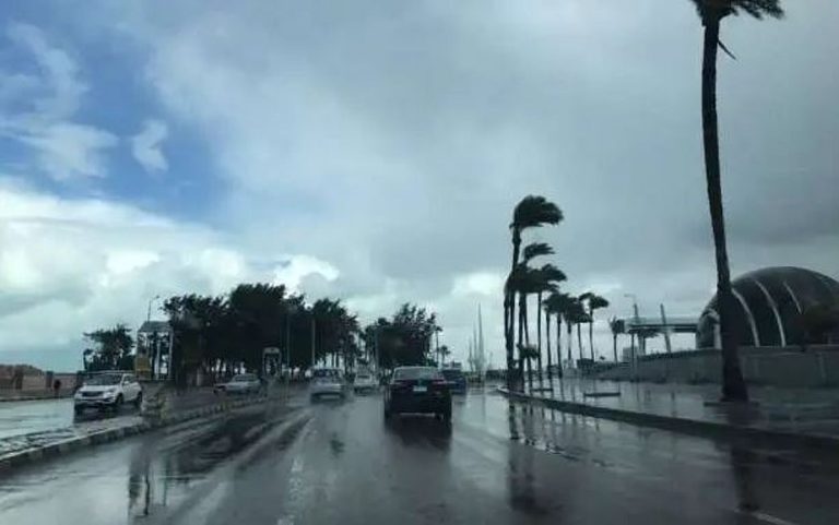 ضباب خلال الليل.. توقعات حالة الطقس اليوم الأحد 5-9-1447 في المملكة